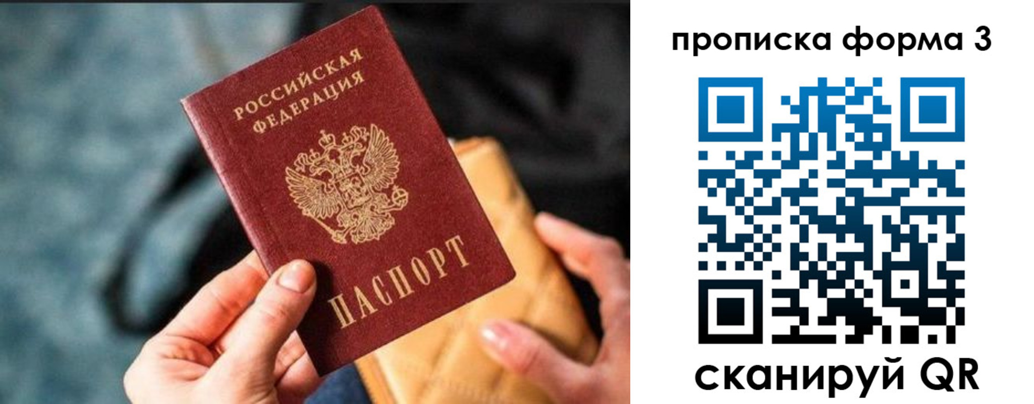 прописка гарантия в Советске